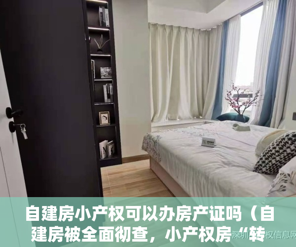 自建房小产权可以办房产证吗（自建房被全面彻查，小产权房“转正”还有希望吗？别花冤枉钱了）