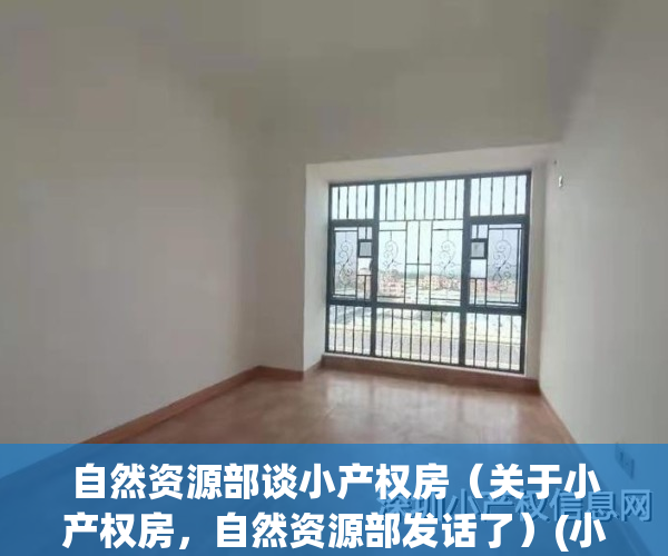 自然资源部谈小产权房（关于小产权房，自然资源部发话了）(小产权房国土局备案)