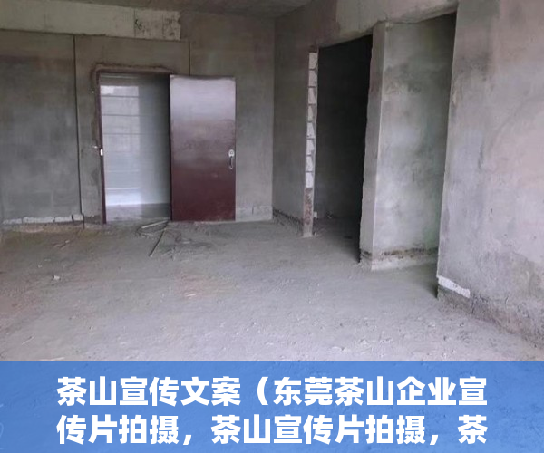 茶山宣传文案（东莞茶山企业宣传片拍摄，茶山宣传片拍摄，茶山短视频拍摄）