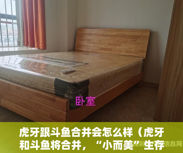 虎牙跟斗鱼合并会怎么样（虎牙和斗鱼将合并，“小而美”生存方式在互联网领域越来越稀缺）