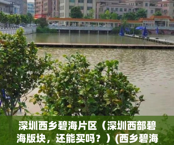 深圳西乡碧海片区（深圳西部碧海版块，还能买吗？）(西乡碧海片区最好的小区)