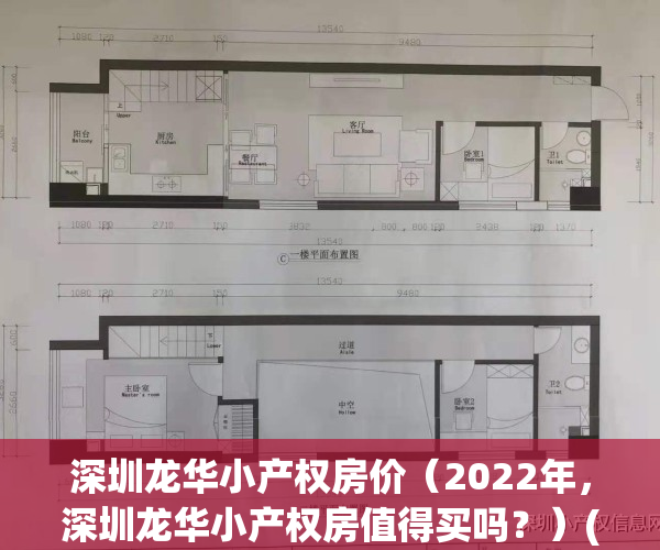 深圳龙华小产权房价（2022年，深圳龙华小产权房值得买吗？）(深圳龙华区的小产权房)