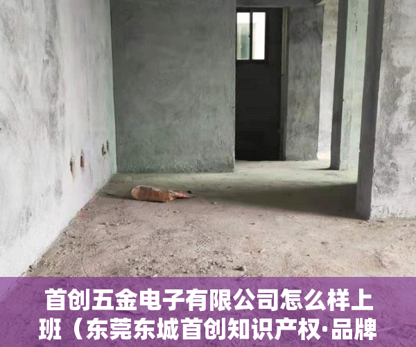 首创五金电子有限公司怎么样上班（东莞东城首创知识产权·品牌服务工作站）