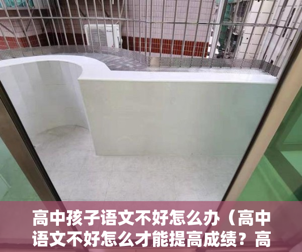 高中孩子语文不好怎么办（高中语文不好怎么才能提高成绩？高分不难考！）