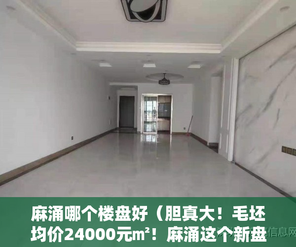 麻涌哪个楼盘好（胆真大！毛坯均价24000元㎡！麻涌这个新盘售价不是一般的贵！）