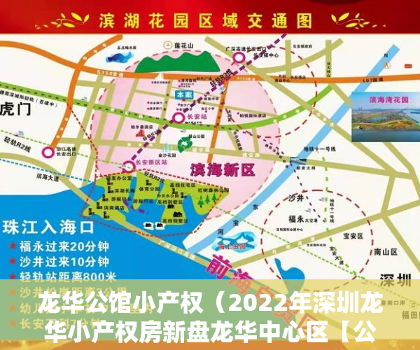 龙华公馆小产权（2022年深圳龙华小产权房新盘龙华中心区【公园大地】03户型）