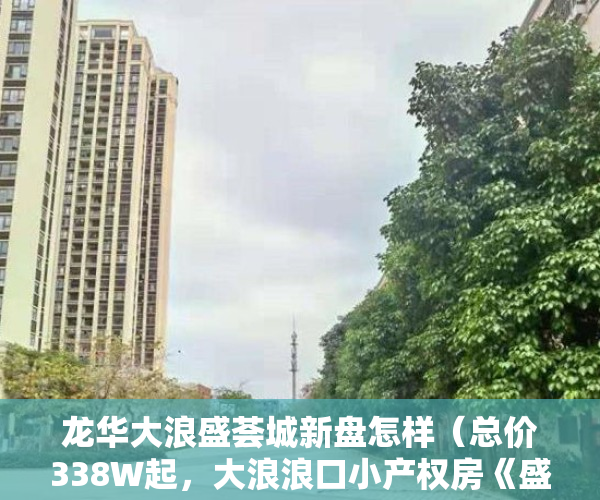 龙华大浪盛荟城新盘怎样（总价338W起，大浪浪口小产权房《盛荟华庭》原始户型马路第一排）