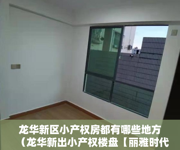 龙华新区小产权房都有哪些地方（龙华新出小产权楼盘【丽雅时代】一房总价239万起，可零首付，最长可分期十年）