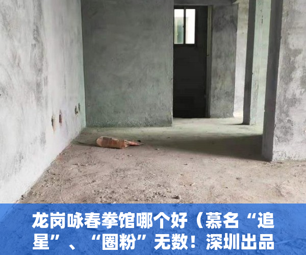 龙岗咏春拳馆哪个好（慕名“追星”、“圈粉”无数！深圳出品舞剧《咏春》惊艳长沙梅溪湖）