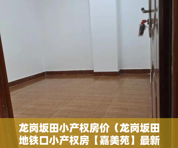 龙岗坂田小产权房价（龙岗坂田地铁口小产权房【嘉美苑】最新开盘出售 户户精装）