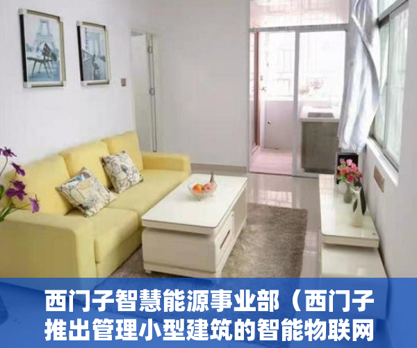 西门子智慧能源事业部（西门子推出管理小型建筑的智能物联网解决方案Connect Box）