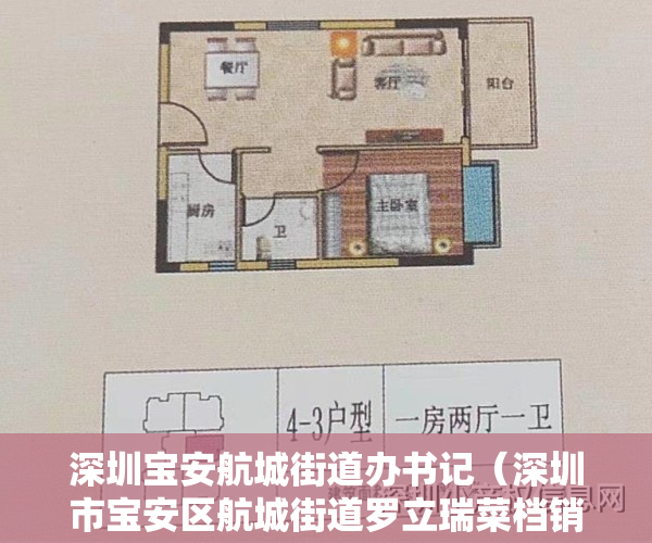 深圳宝安航城街道办书记(深圳市宝安区航城街道罗立瑞菜档销售不符合食品安全标准的食用农产品案)