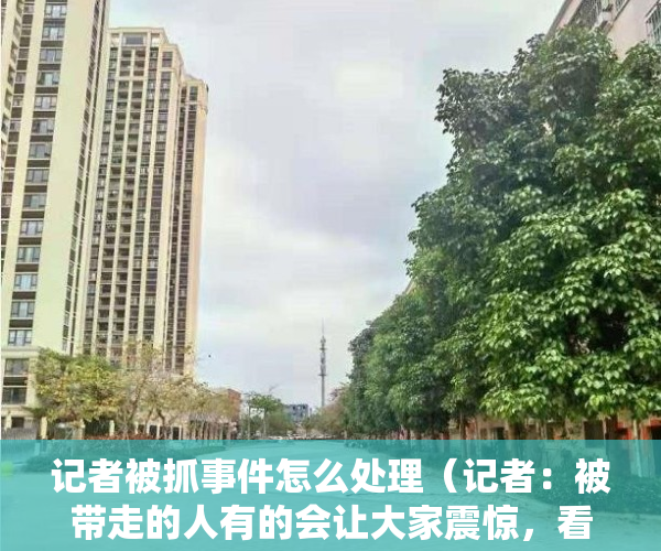 记者被抓事件怎么处理(记者:被带走的人有的会让大家震惊,看起来老实厚道)