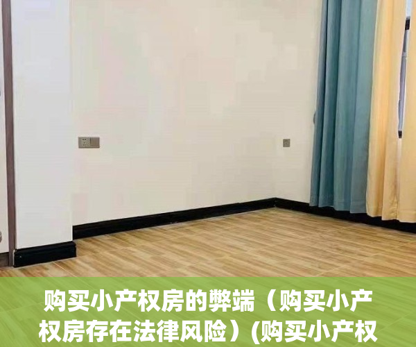 购买小产权房的弊端（购买小产权房存在法律风险）(购买小产权房的风险以及治理策略)