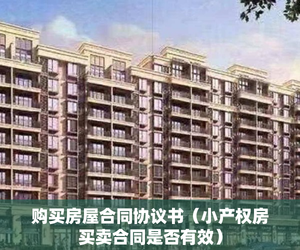购买房屋合同协议书（小产权房买卖合同是否有效）