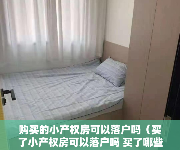 购买的小产权房可以落户吗（买了小产权房可以落户吗 买了哪些房子不能落户）