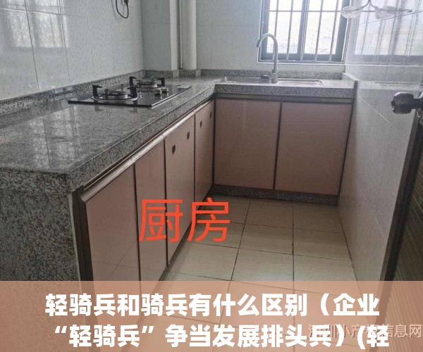 轻骑兵和骑兵有什么区别（企业“轻骑兵”争当发展排头兵）(轻骑兵优势)