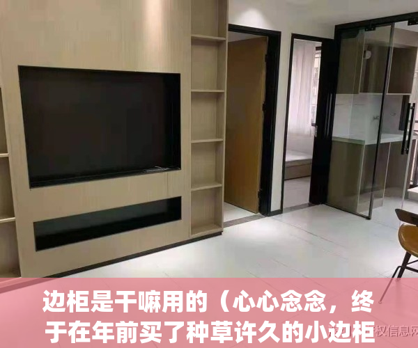 边柜是干嘛用的（心心念念，终于在年前买了种草许久的小边柜！）(边柜是什么家具)