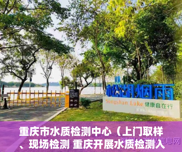 重庆市水质检测中心（上门取样、现场检测 重庆开展水质检测入户服务）