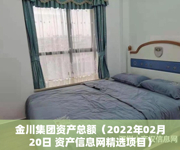 金川集团资产总额（2022年02月20日 资产信息网精选项目）