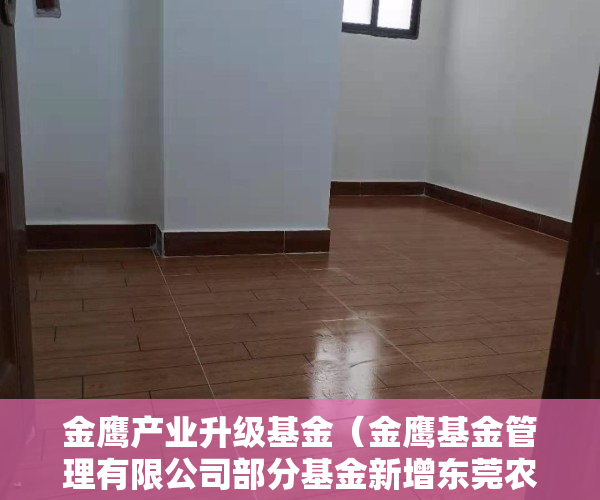 金鹰产业升级基金（金鹰基金管理有限公司部分基金新增东莞农村商业银行股份有限公司为代销机构并开通基金转换、基金定投业务及费率优惠的公告）