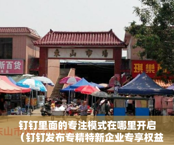 钉钉里面的专注模式在哪里开启（钉钉发布专精特新企业专享权益，未来3年服务2万家深圳中小企业推进数字化转型）