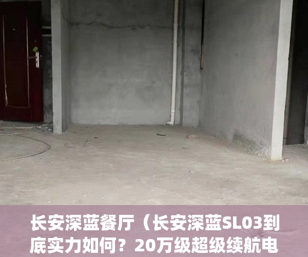 长安深蓝餐厅（长安深蓝SL03到底实力如何？20万级超级续航电动车！）(长安蓝鲸版2021款报价)