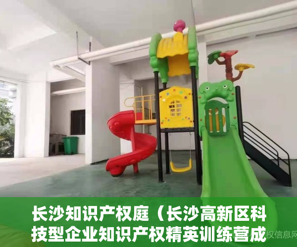 长沙知识产权庭（长沙高新区科技型企业知识产权精英训练营成功举办）