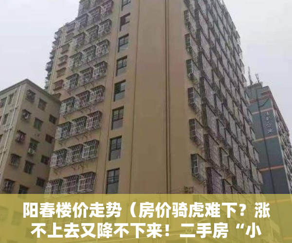 阳春楼价走势（房价骑虎难下？涨不上去又降不下来！二手房“小阳春”背后的真相）