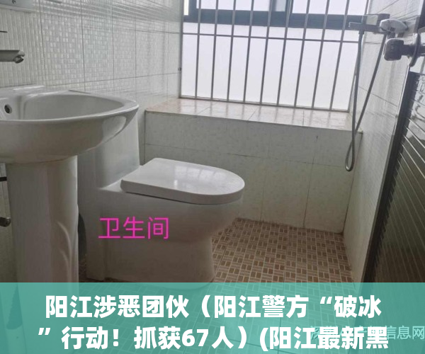 阳江涉恶团伙（阳江警方“破冰”行动！抓获67人）(阳江最新黑恶)