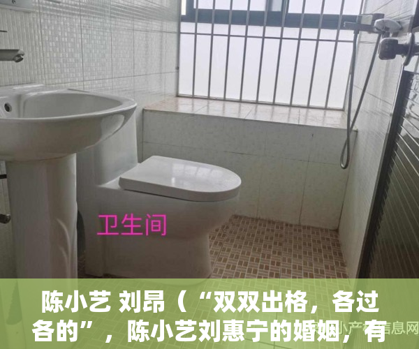 陈小艺 刘昂（“双双出格，各过各的”，陈小艺刘惠宁的婚姻，有何存在的意义？）