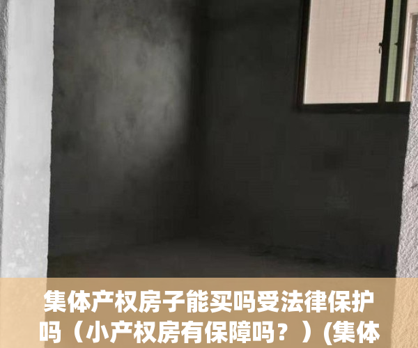 集体产权房子能买吗受法律保护吗（小产权房有保障吗？）(集体产权的房子和小产权一样吗)