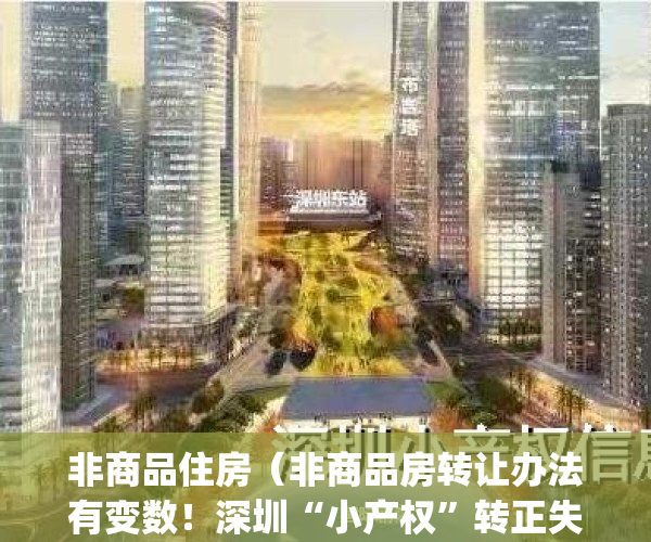 非商品住房（非商品房转让办法有变数！深圳“小产权”转正失败？）(非商品房怎么过户)