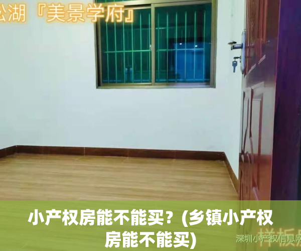 小产权房能不能买?(乡镇小产权房能不能买)
