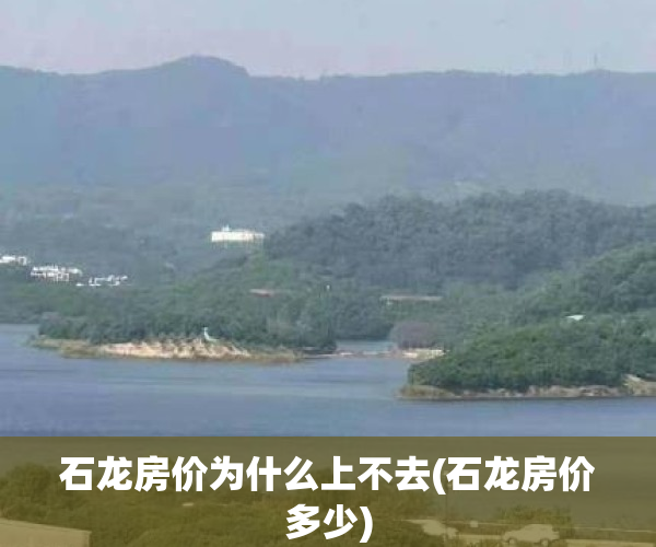 石龙房价为什么上不去(石龙房价多少)