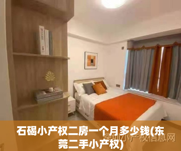 石碣小产权二房一个月多少钱(东莞二手小产权)