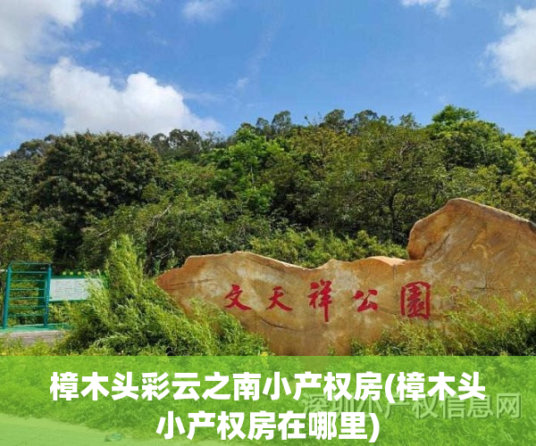 樟木头彩云之南小产权房(樟木头小产权房在哪里)