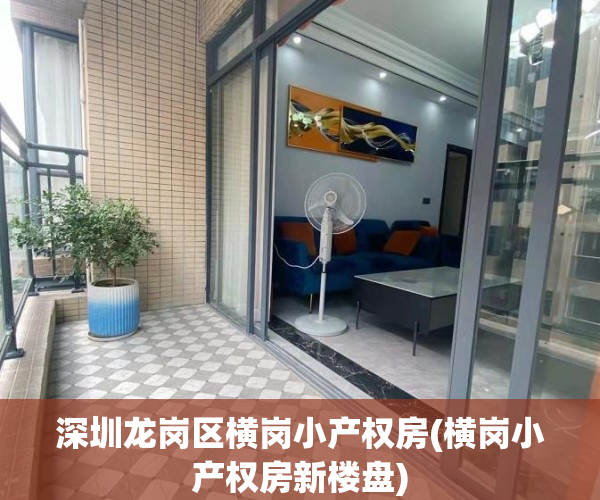 深圳龙岗区横岗小产权房(横岗小产权房新楼盘)