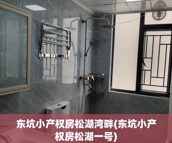 东坑小产权房松湖湾畔(东坑小产权房松湖一号)