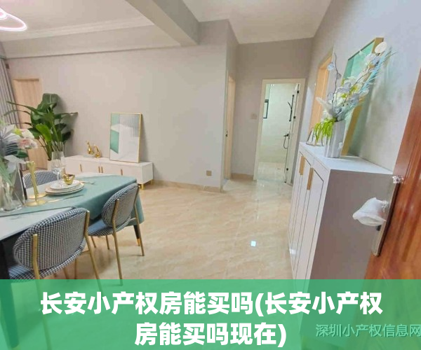 长安小产权房能买吗(长安小产权房能买吗现在)