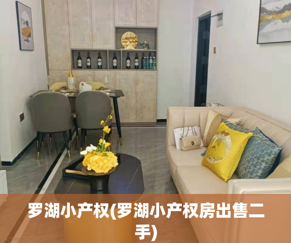罗湖小产权(罗湖小产权房出售二手)