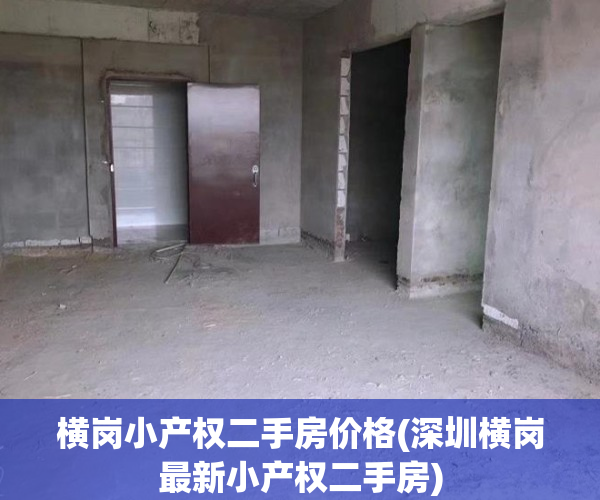 横岗小产权二手房价格(深圳横岗最新小产权二手房)
