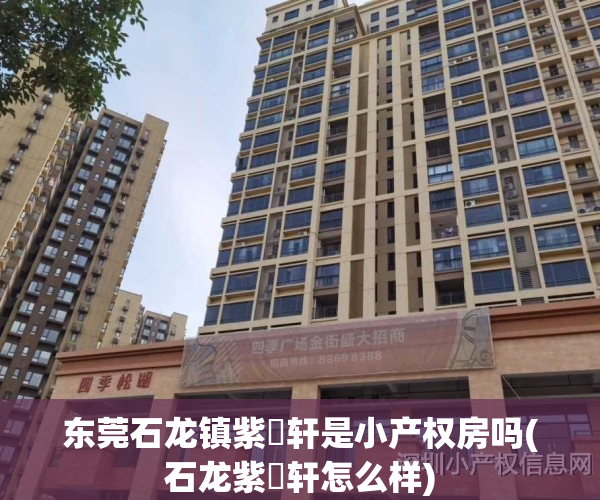 东莞石龙镇紫玥轩是小产权房吗(石龙紫玥轩怎么样)