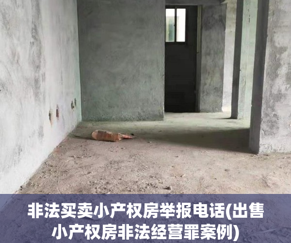 非法买卖小产权房举报电话(出售小产权房非法经营罪案例)
