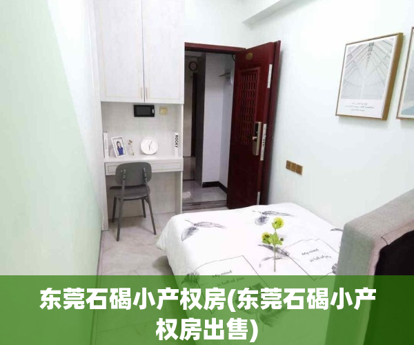 东莞石碣小产权房(东莞石碣小产权房出售)