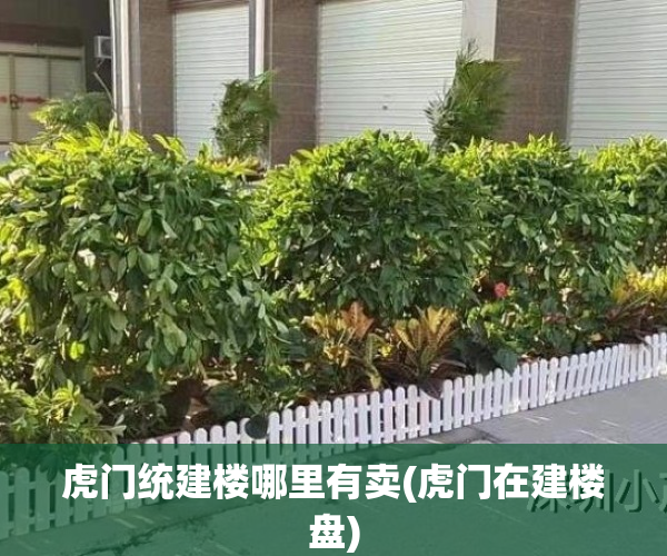 虎门统建楼哪里有卖(虎门在建楼盘)