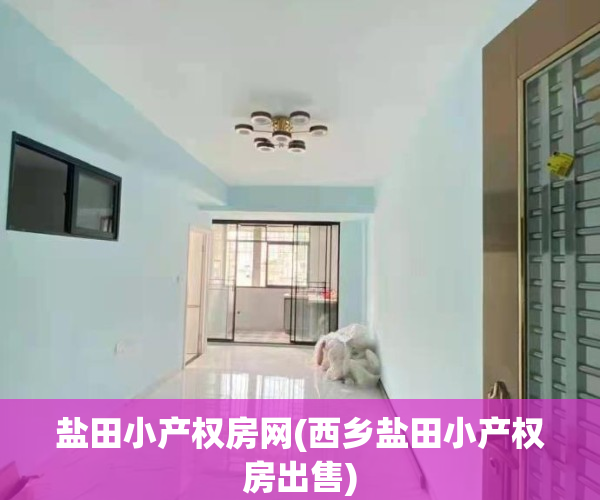 盐田小产权房网(西乡盐田小产权房出售)