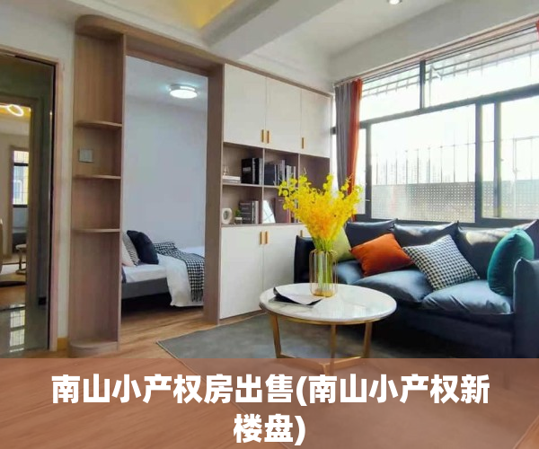 南山小产权房出售(南山小产权新楼盘)