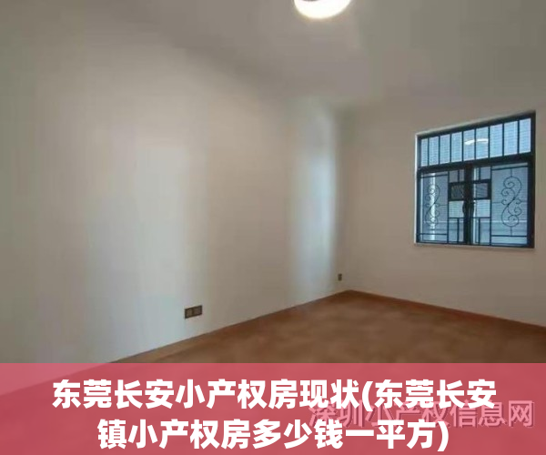 东莞长安小产权房现状(东莞长安镇小产权房多少钱一平方)