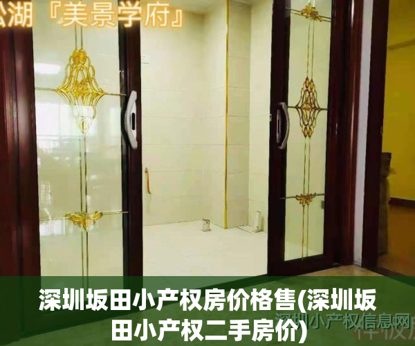 深圳坂田小产权房价格售(深圳坂田小产权二手房价)